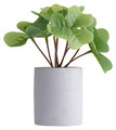 Kunstig plante kløver H18 cm